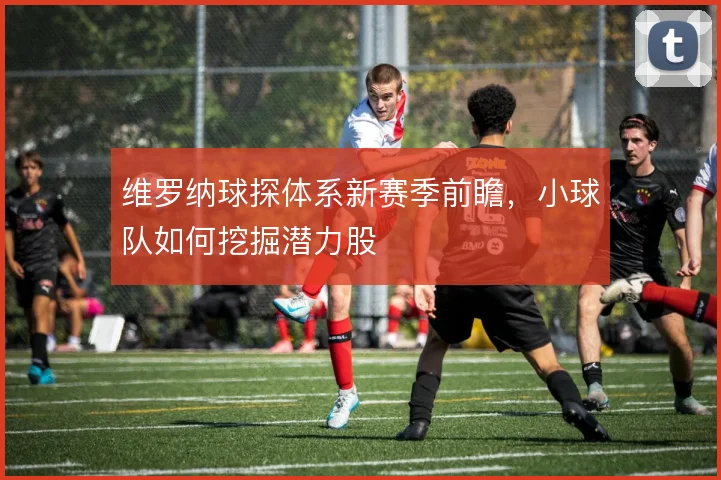 维罗纳球探体系新赛季前瞻，小球队如何挖掘潜力股