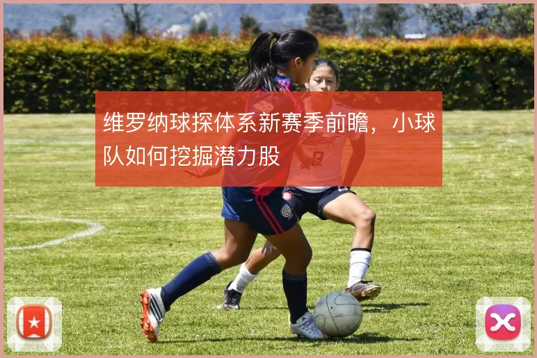 维罗纳球探体系新赛季前瞻，小球队如何挖掘潜力股